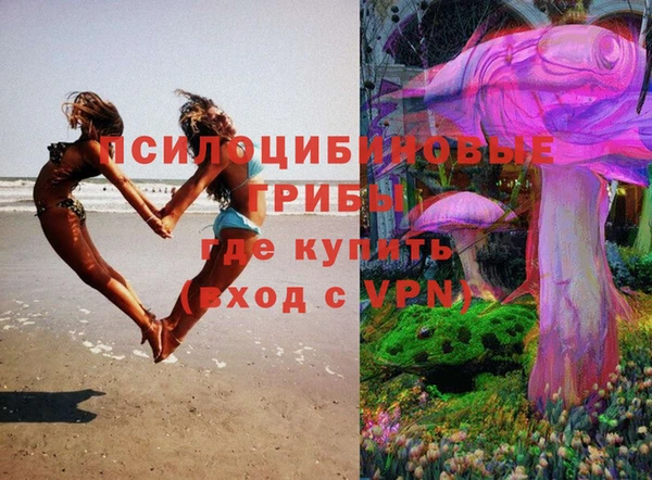 винт Белокуриха
