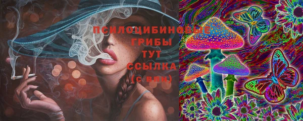 скорость Богородицк