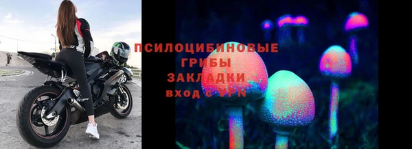 2c-b Беломорск