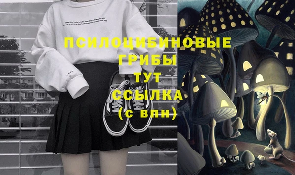 скорость Богородицк