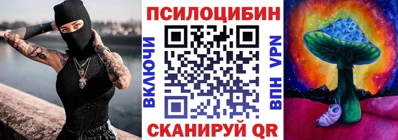 Галлюциногенные грибы Psilocybine cubensis  Купить где  Морозовск 